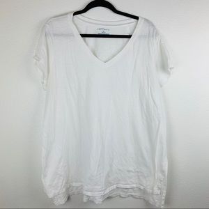 Boutique Plus Size Basic V-Neck White Tee